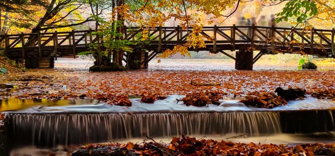 "Orman Denizi Yedigöller" En Fazla Ziyaretçiyi Sonbaharda Ağırladı.