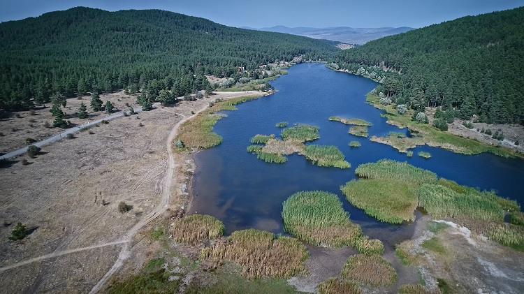 çamkoru tp (1)-1.jpg