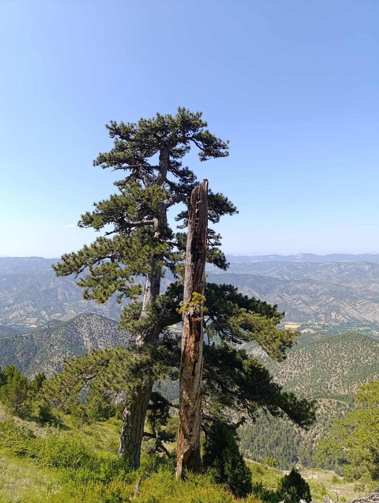 20.05.2025-05.jpg
