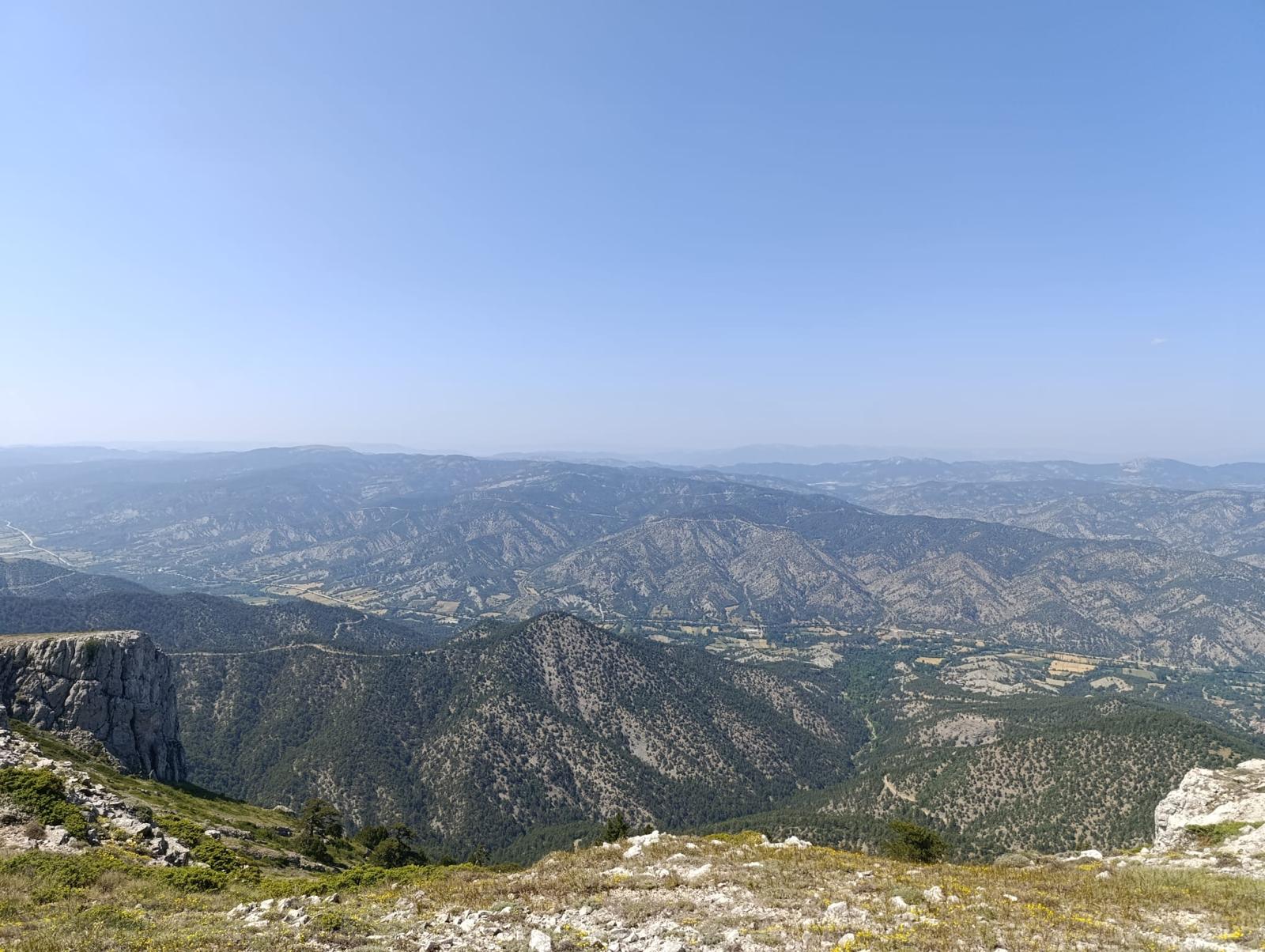 20.05.2025-06.jpg