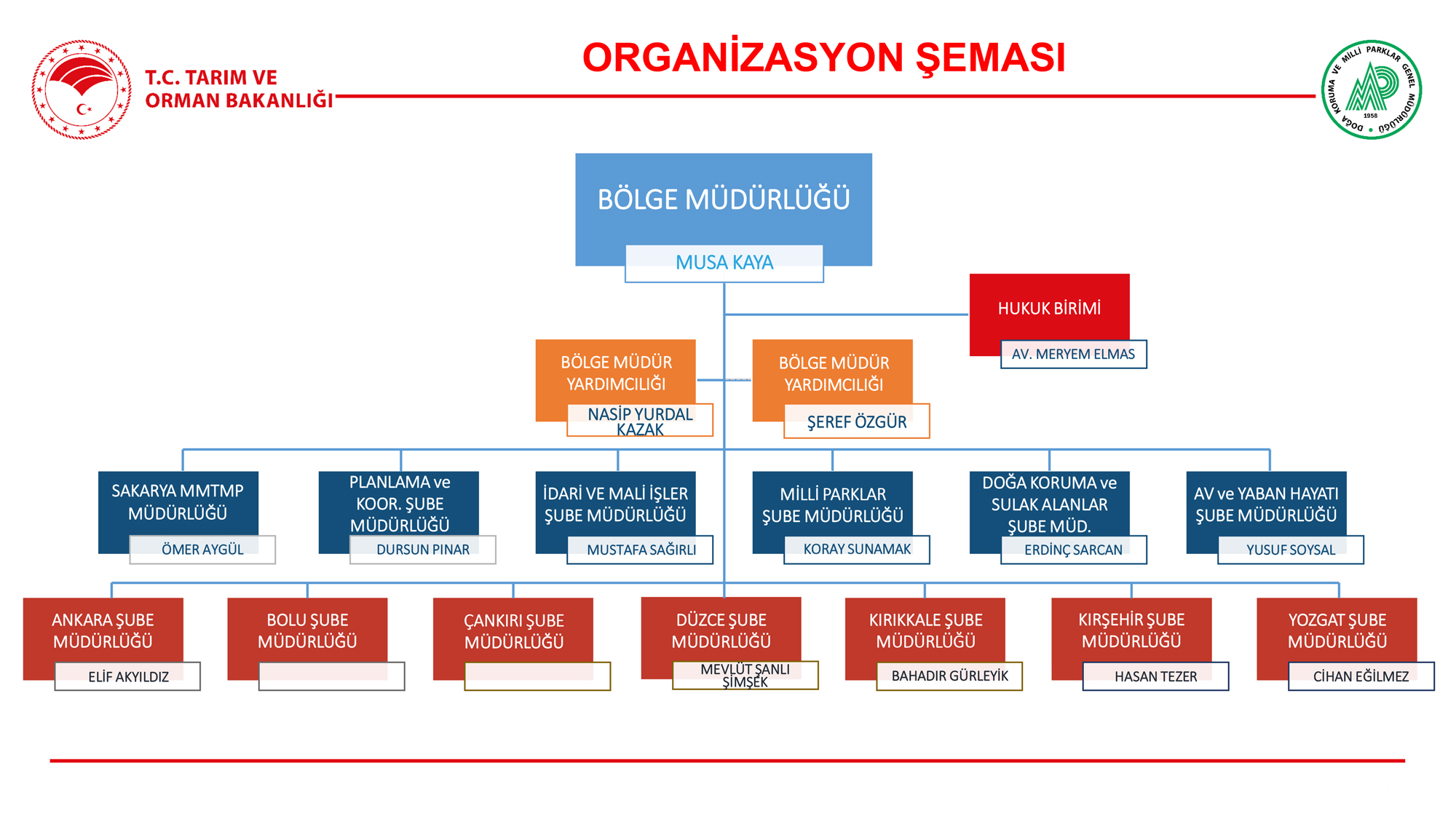 Yeni-Organizasyon-Şeması01.jpg